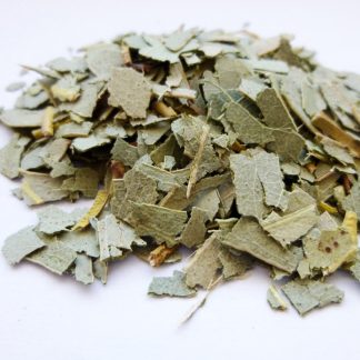 Eucalyptusblätter