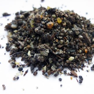 Benzoe Sumatra