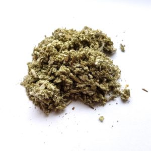 Salbei