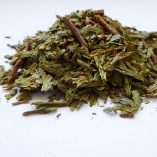 Thuja Sprossen